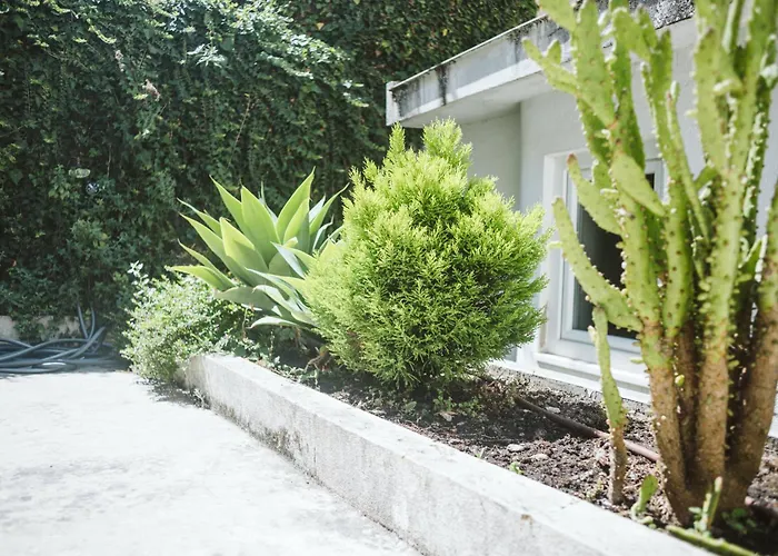 Costa Castle Appartement *