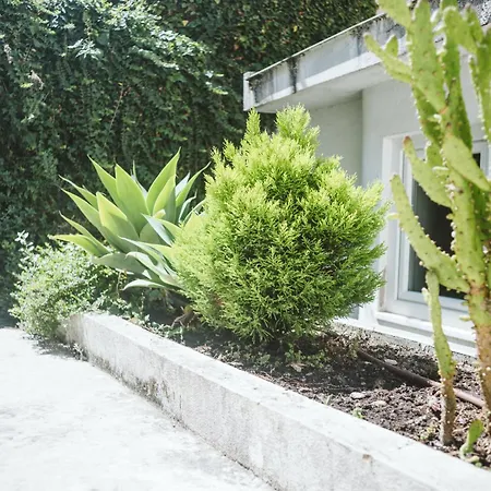 Costa Castle شقة *